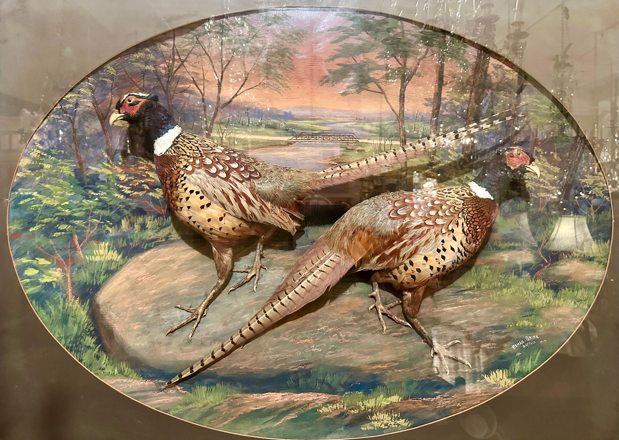 Américain Diorama américain ancien de deux faisans, signé Herman Grieb 1922. en vente