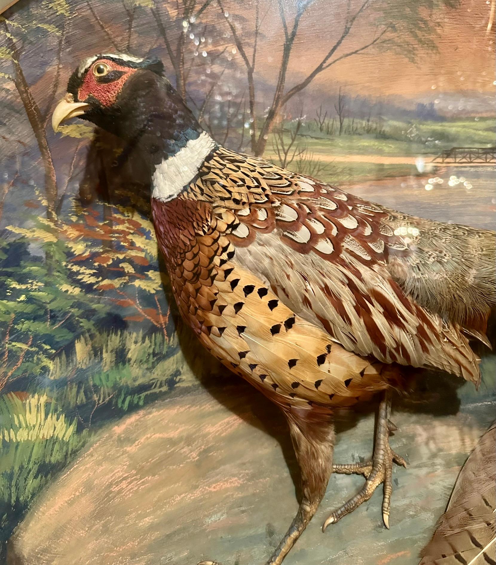 Diorama américain ancien de deux faisans, signé Herman Grieb 1922. Bon état - En vente à New Orleans, LA