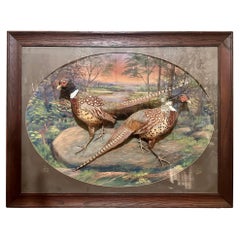 Collectibles and Curiosities