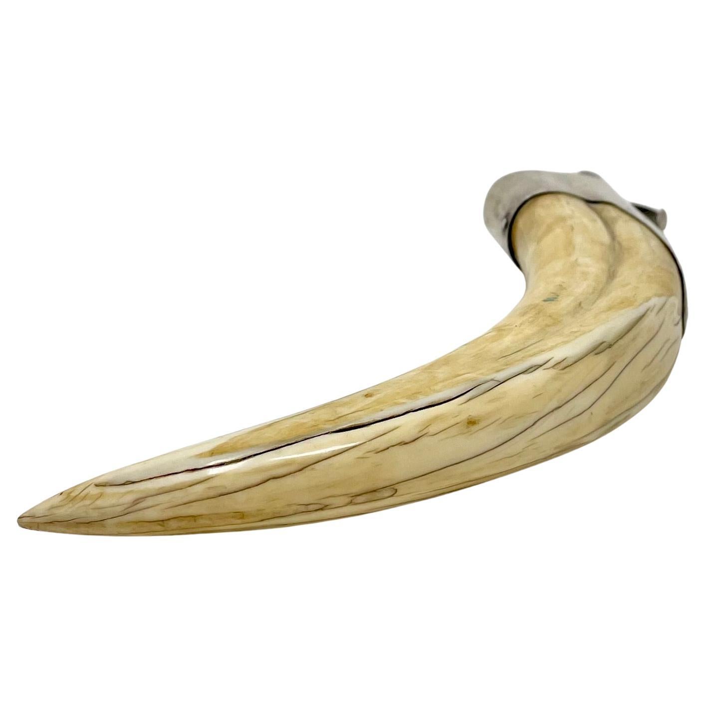 Antique American Sterling Silver and Warthog Tusk Cigar Cutter, Circa 1920-1930. For Sale 2