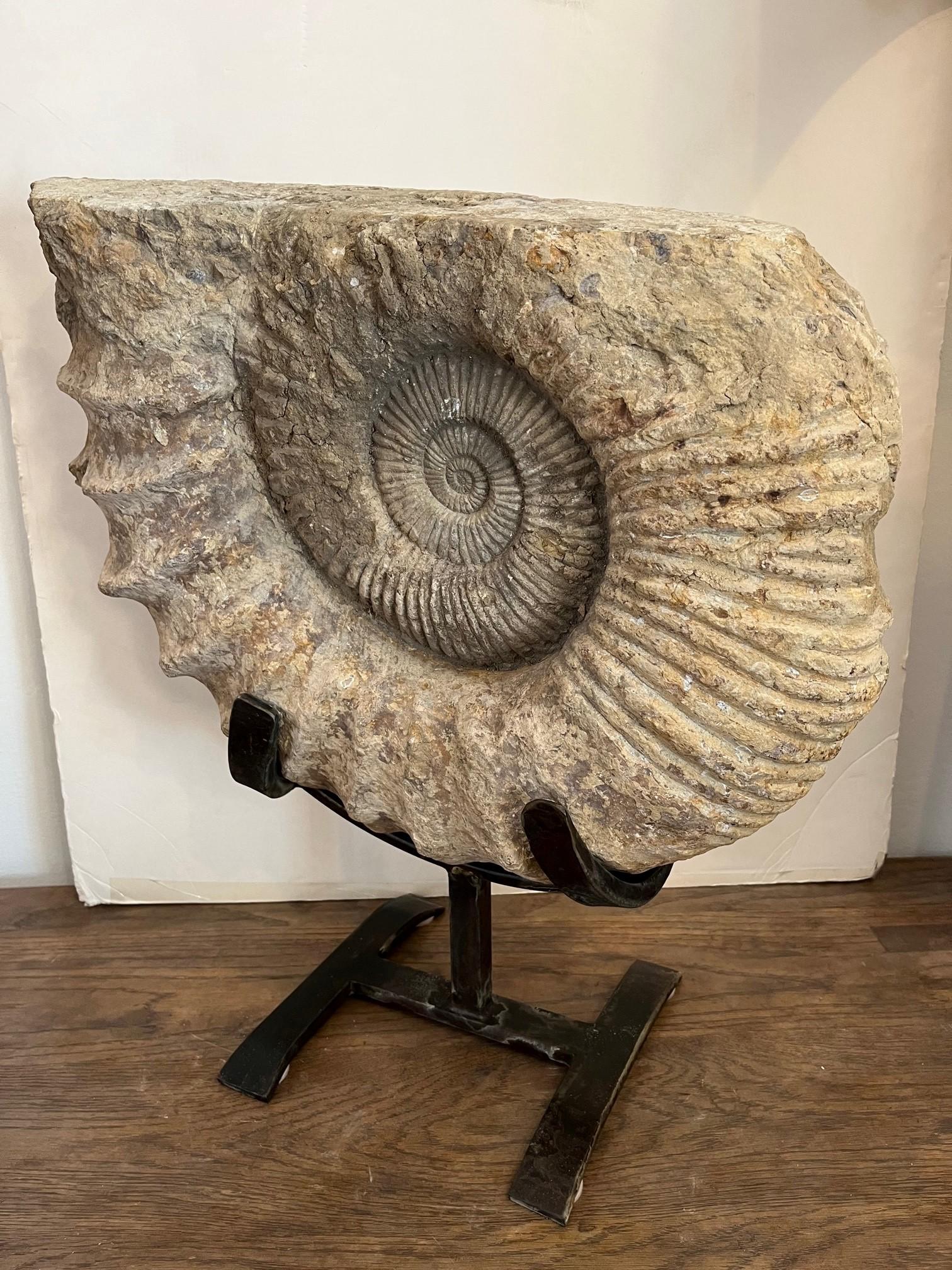 Antique Ammonite on Handcrafted Iron Stand For Sale 4