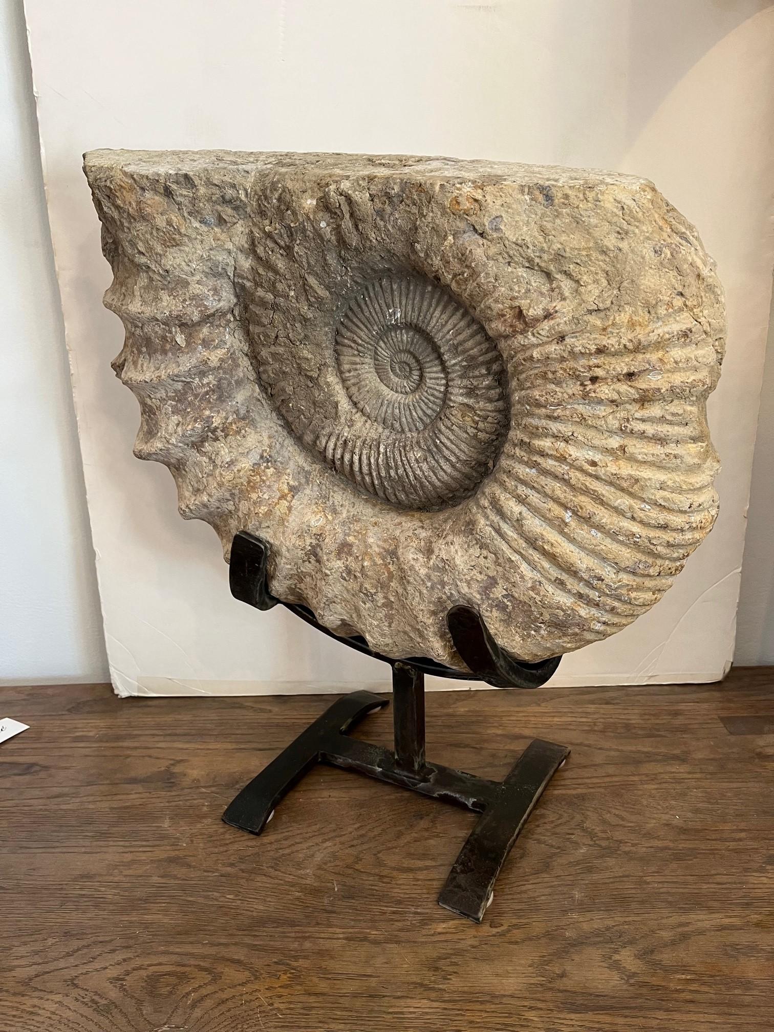 Antique Ammonite, Solid Stone Featuring Fascinating Ridged Surface on Handcrafted Iron Stand, Weigh: 132 lbs.