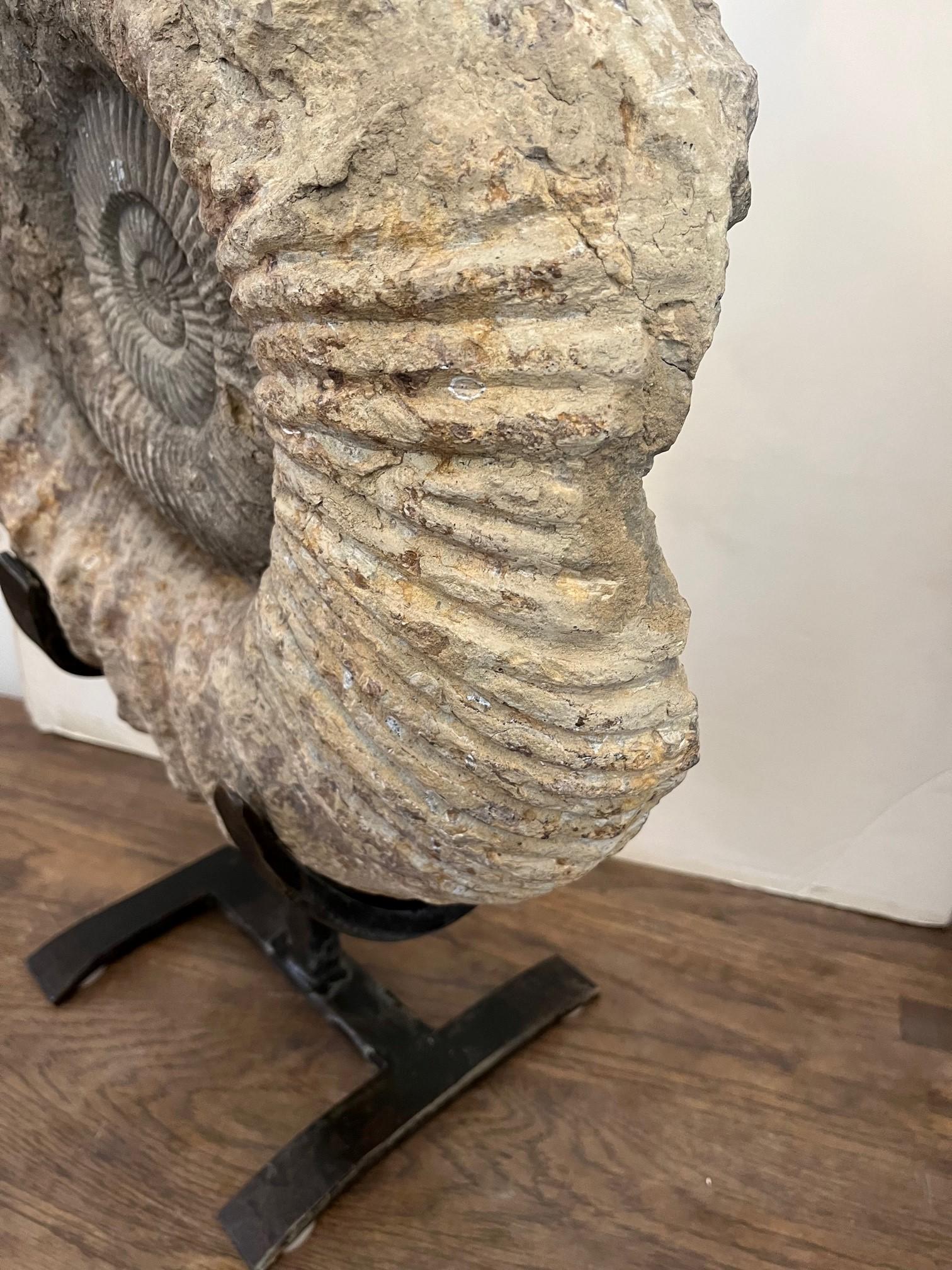 Antique Ammonite on Handcrafted Iron Stand In Good Condition For Sale In Los Angeles, CA