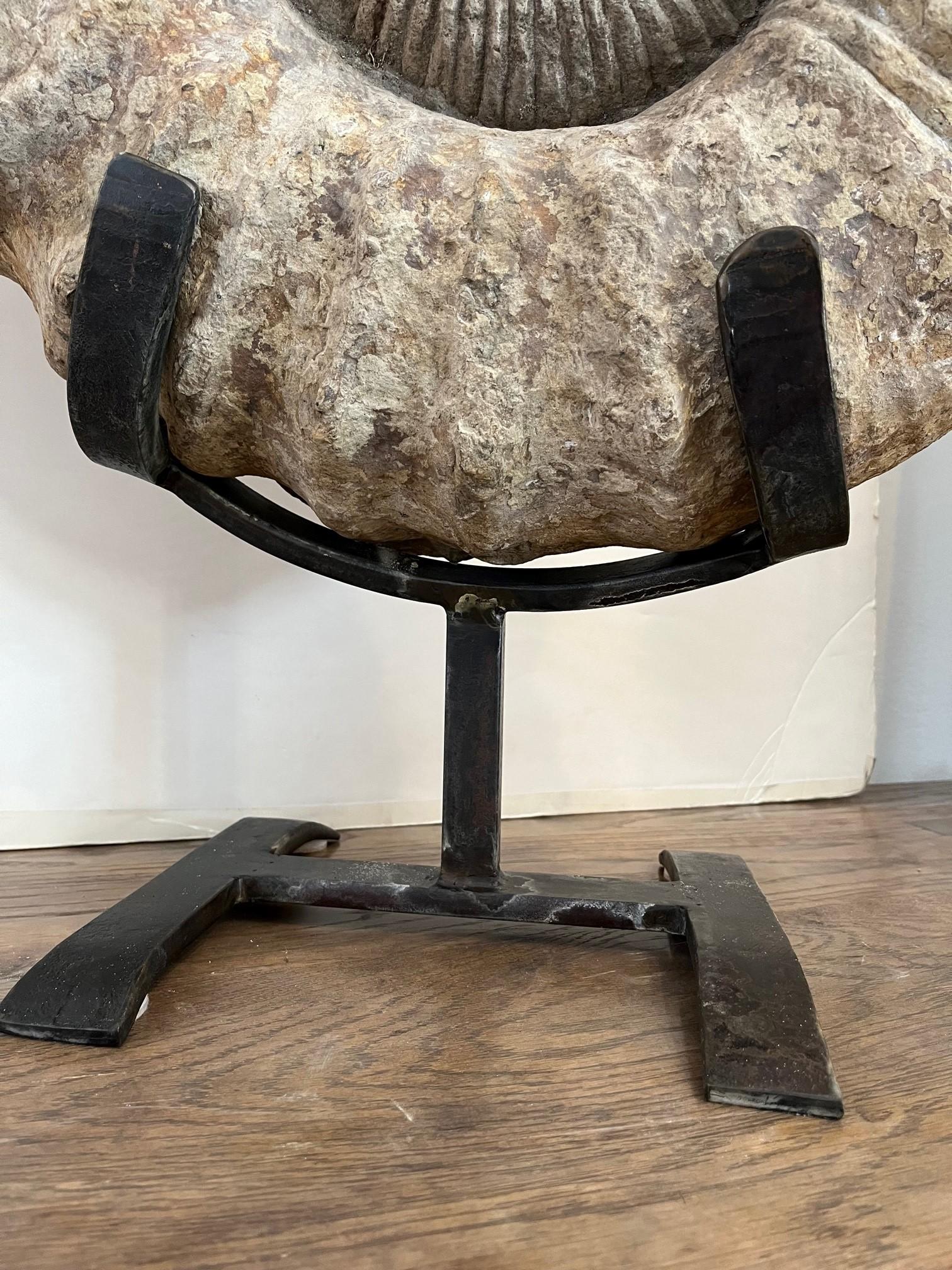 18th Century and Earlier Antique Ammonite on Handcrafted Iron Stand For Sale