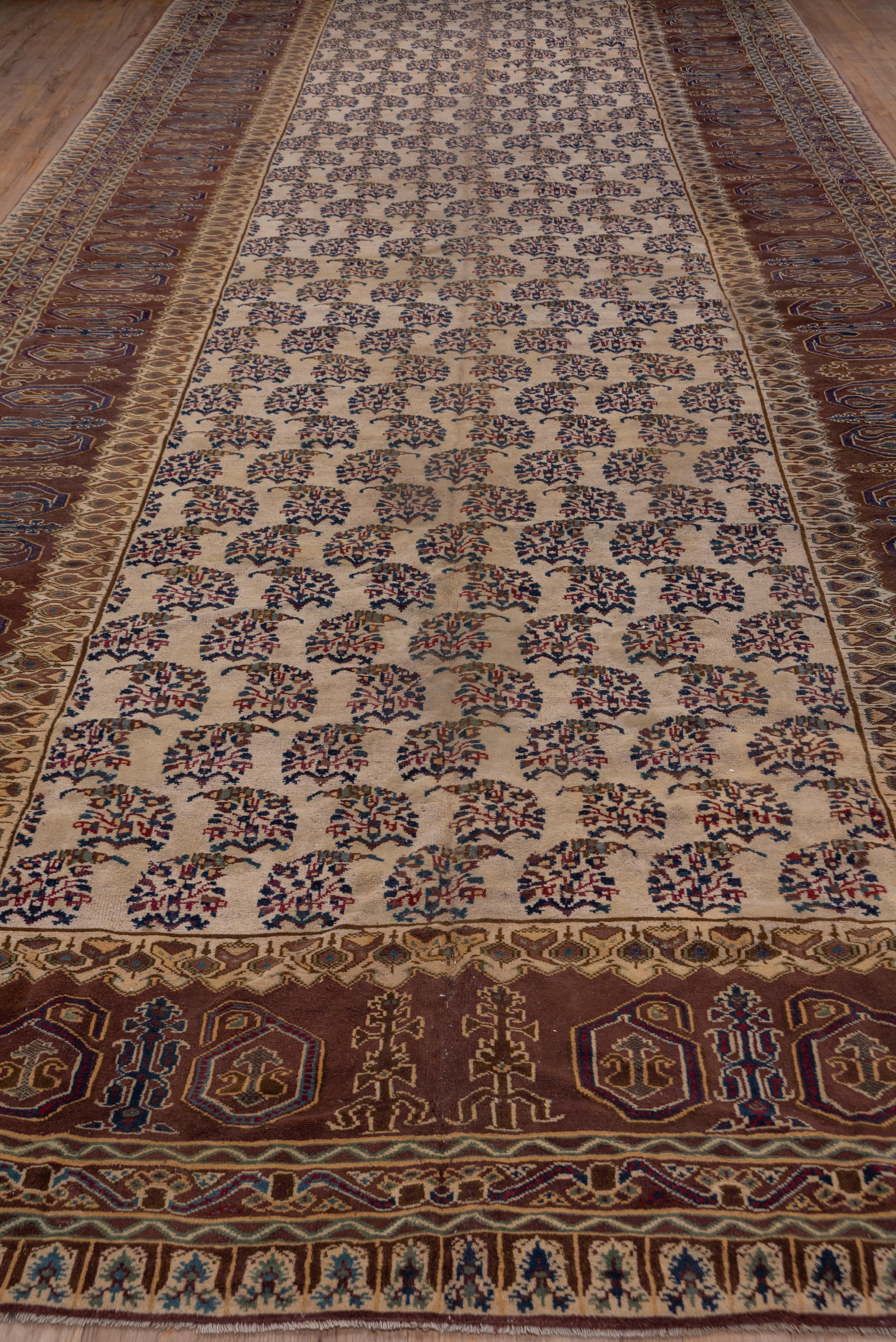 Dieser nordindische Werkstattteppich zeigt ein cremefarbenes Feld mit umgekehrten Reihen aus dunkelblauen Blumenbottichen. Das Botteh-Thema setzt sich in der rotbraunen, breiten Hauptbordüre mit großen, facettierten Zapfen fort. Der Zustand ist im