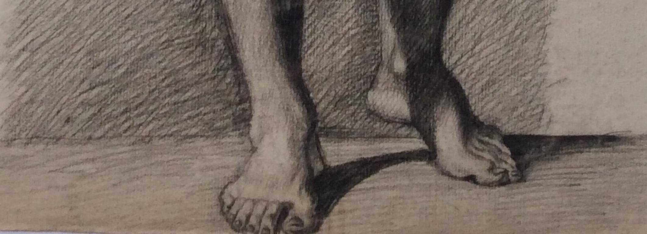 nude male anatomy