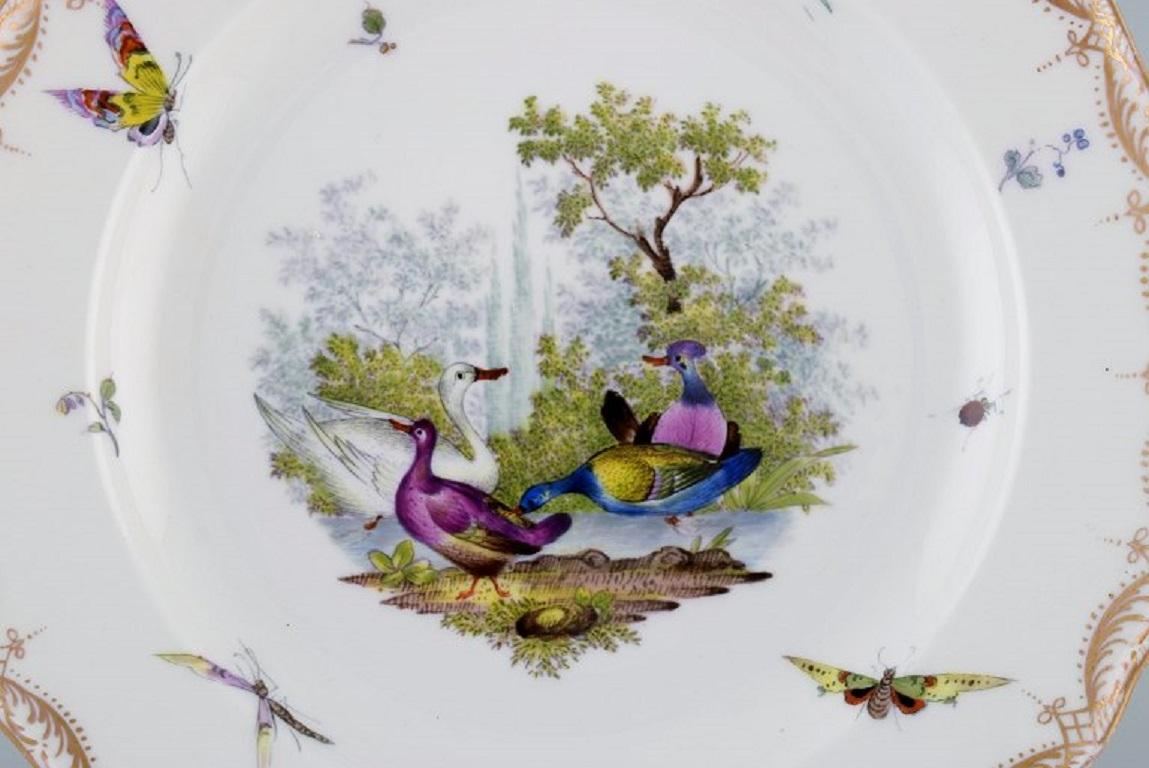 Antique and rare Meissen porcelain plate with hand-painted birds, insects and gold decoration. 
19th century.
Diameter: 24.5 cm.
In excellent condition.
Stamped.
3rd factory quality.