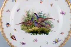 Antique and Rare Meissen Porcelain Plate with Hand-Painted Birds and Insects