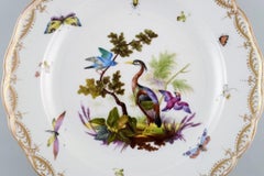 Antique and Rare Meissen Porcelain Plate with Hand-Painted Birds and Insects