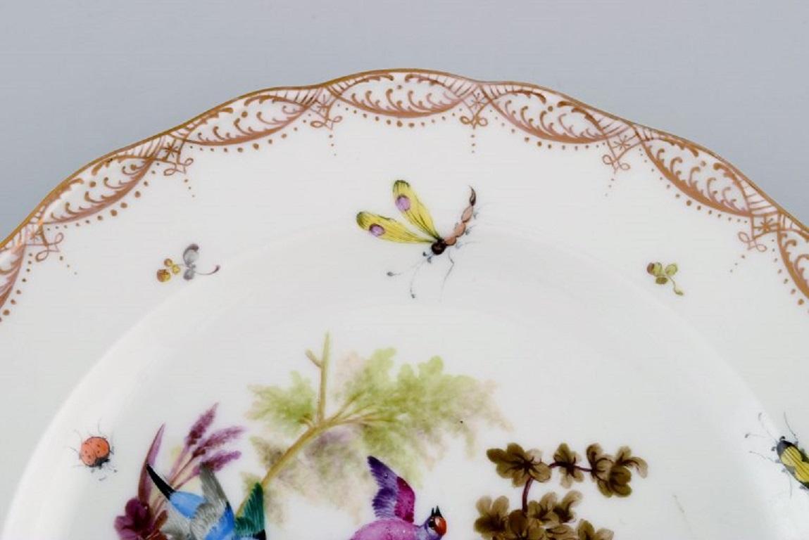 German Antique and rare Meissen porcelain plate with hand-painted birds and insects. For Sale