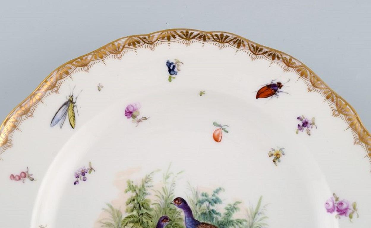 German Antique and Rare Meissen Porcelain Plate with Hand-Painted Birds and Insects For Sale