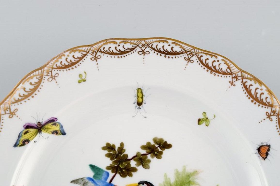 German Antique and Rare Meissen Porcelain Plate with Hand-Painted Birds and Insects