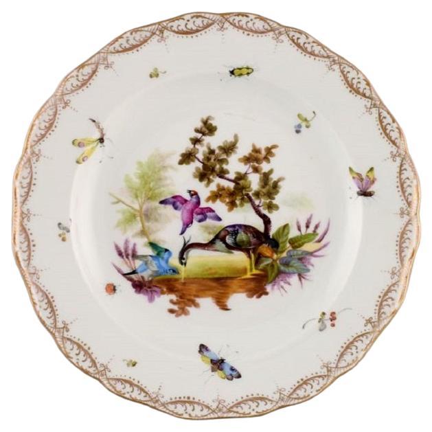 Antico e raro piatto di Meissen Porcelain con uccelli e insetti dipinti a mano.