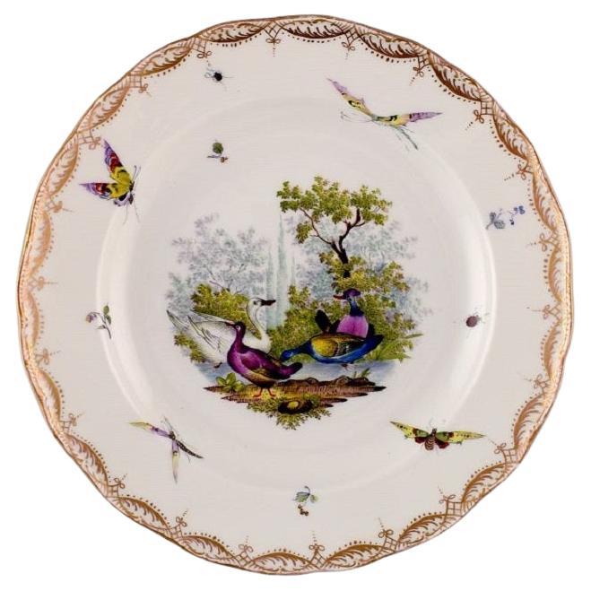 Antico e raro piatto di Meissen Porcelain con uccelli e insetti dipinti a mano