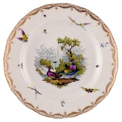 Ancienne et rare assiette en porcelaine de Meissen avec oiseaux et insectes peints à la main