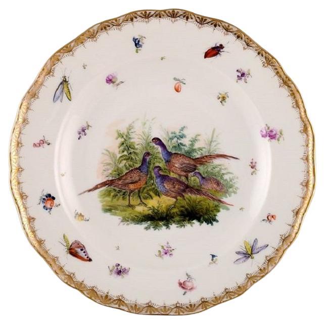 Ancienne et rare assiette en porcelaine de Meissen avec oiseaux et insectes peints à la main