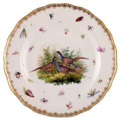 Antique and Rare Meissen Porcelain Plate with Hand-Painted Birds and Insects