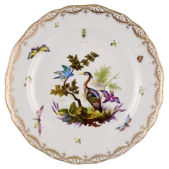 Antique and Rare Meissen Porcelain Plate with Hand-Painted Birds and Insects