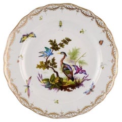 Antique and Rare Meissen Porcelain Plate with Hand-Painted Birds and Insects