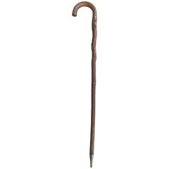 Antique and Strong Real Branch Wood Walking Stick or Cane