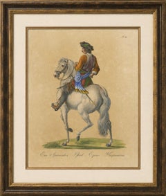 Antique Andalusian Horse Lithograph by Brodtmann, Equus Hispanicus, 1816