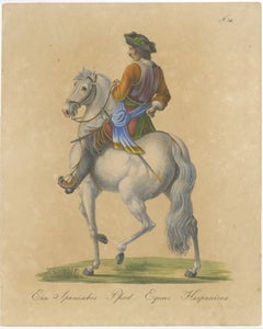 Antique Andalusian Horse Lithograph by Brodtmann, Equus Hispanicus, 1816