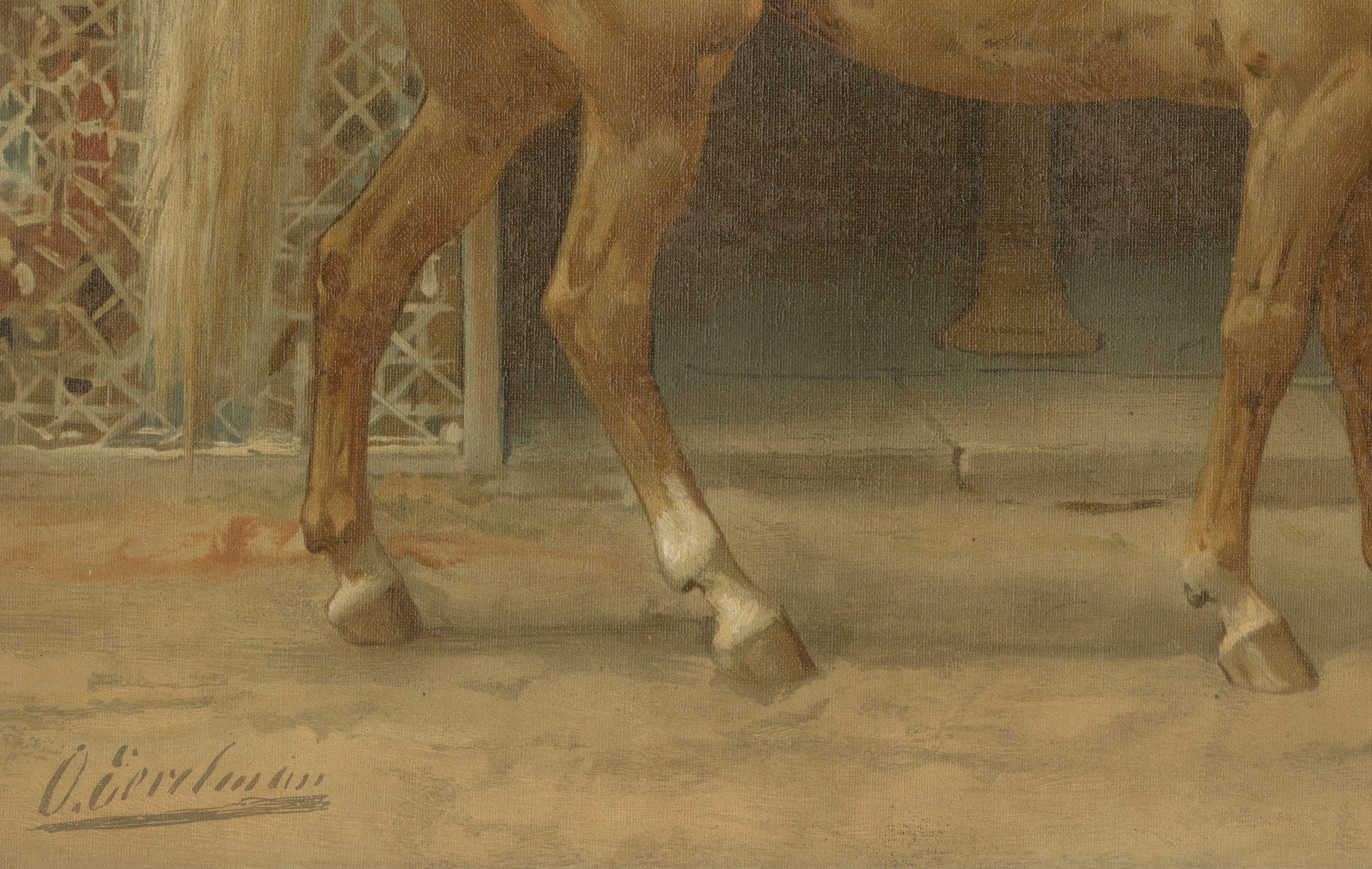 Antique Andalusian Horse Portrait 1898, Spanish Classical Equestrian Lithograph