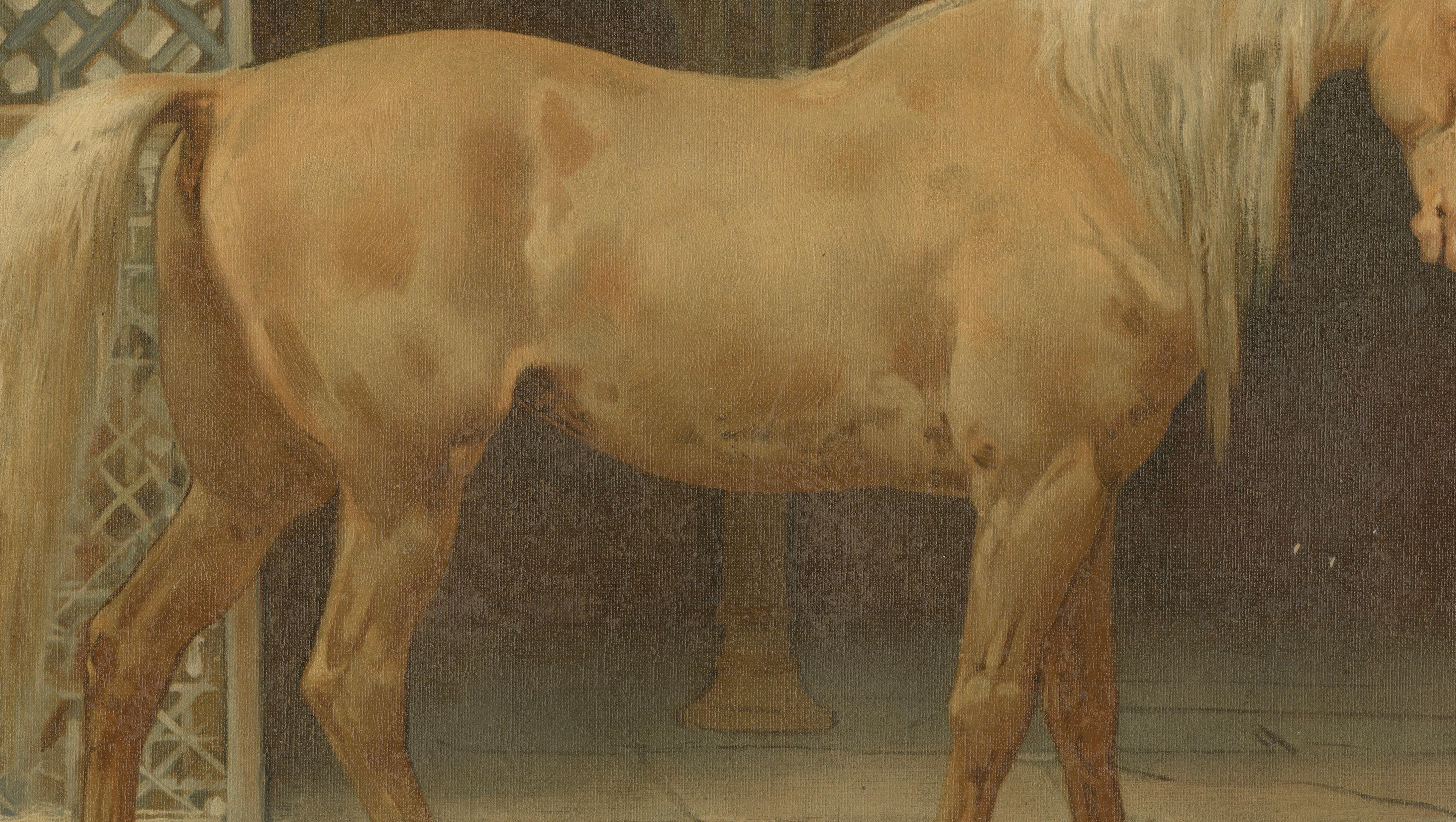 Antique Andalusian Horse Portrait 1898, Spanish Classical Equestrian Lithograph