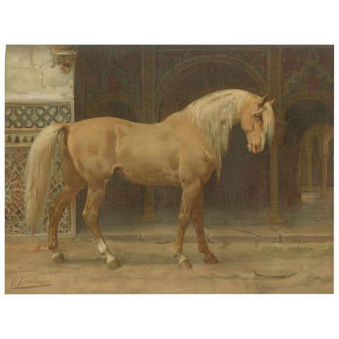 Antique Andalusian Horse Portrait 1898, Spanish Classical Equestrian Lithograph