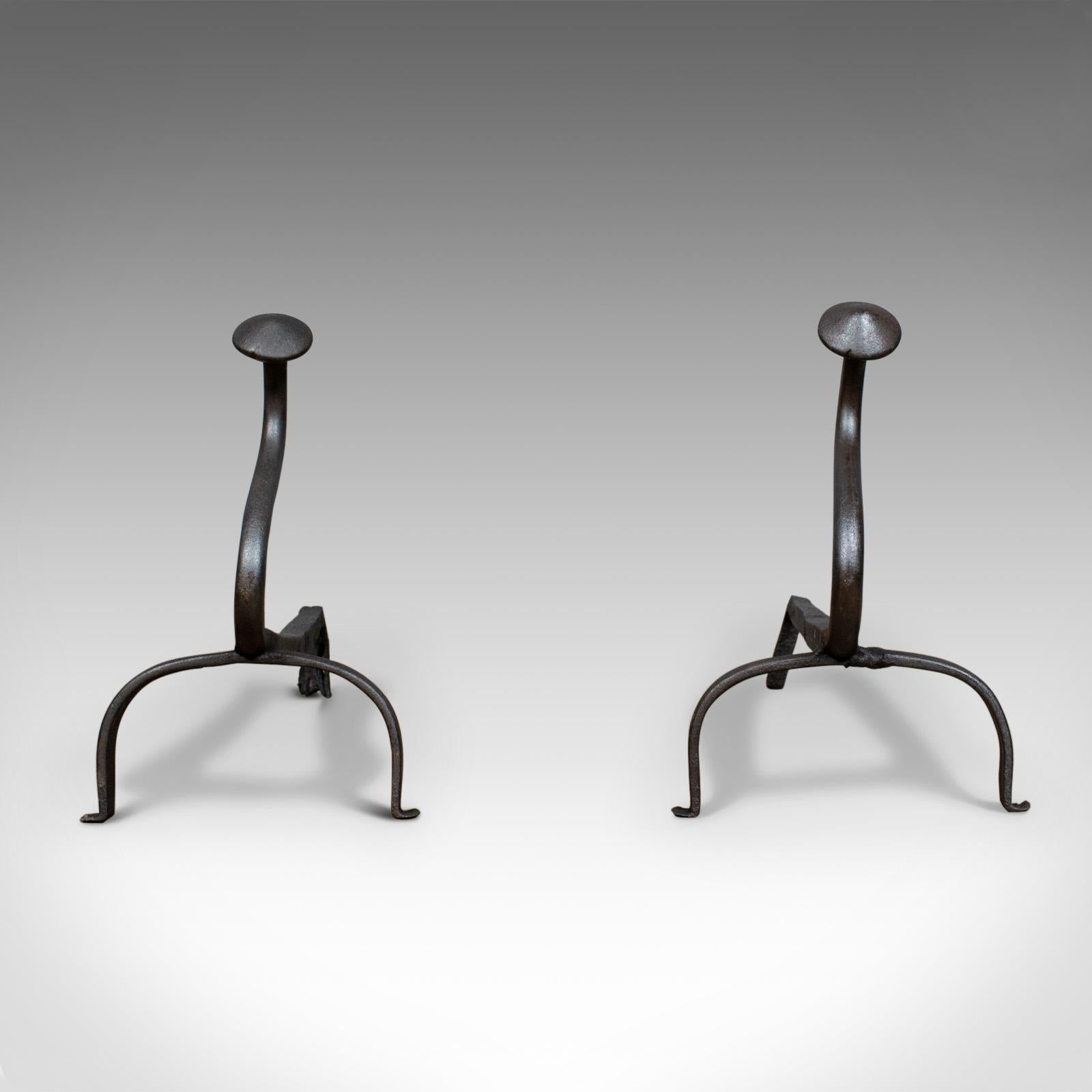 This is a pair of antique andirons. French, wrought iron firedogs forged around the turn of the 20th century, circa 1900.

Attractive, sinuous andirons ideal for a large fire basket
Standing upon a forward arch leg and a pair of basket
