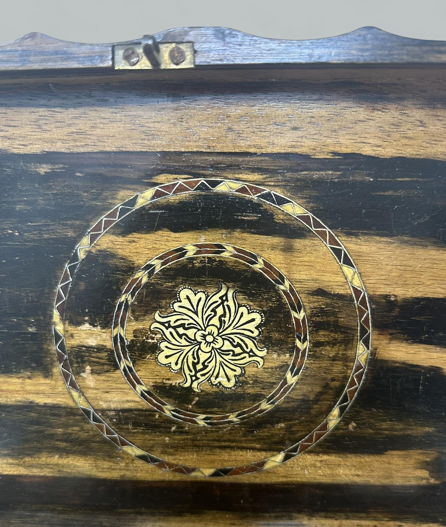 Antique Anglo Indian Coromandel Satinwood Ladys Jewelry Sewing Table Box 19th Ct 2