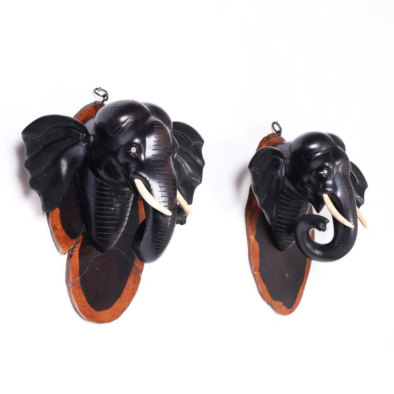 Antique Anglo Indian Elephant Head Wall Plaques For Sale at 1stDibs