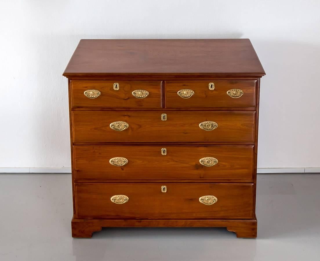 19th Century Antique Anglo-Indian or British Colonial Teakwood Chest of Drawers For Sale