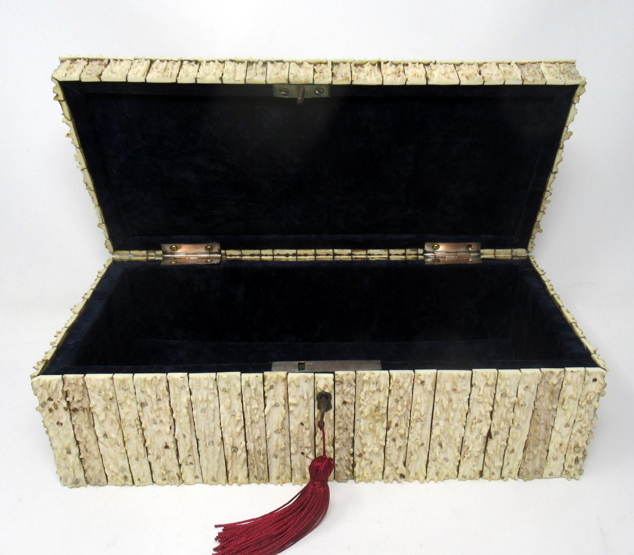 Antique Anglo Indian Vizagapatam Stag Antler Horn Sandalwood Document Box Casket 2