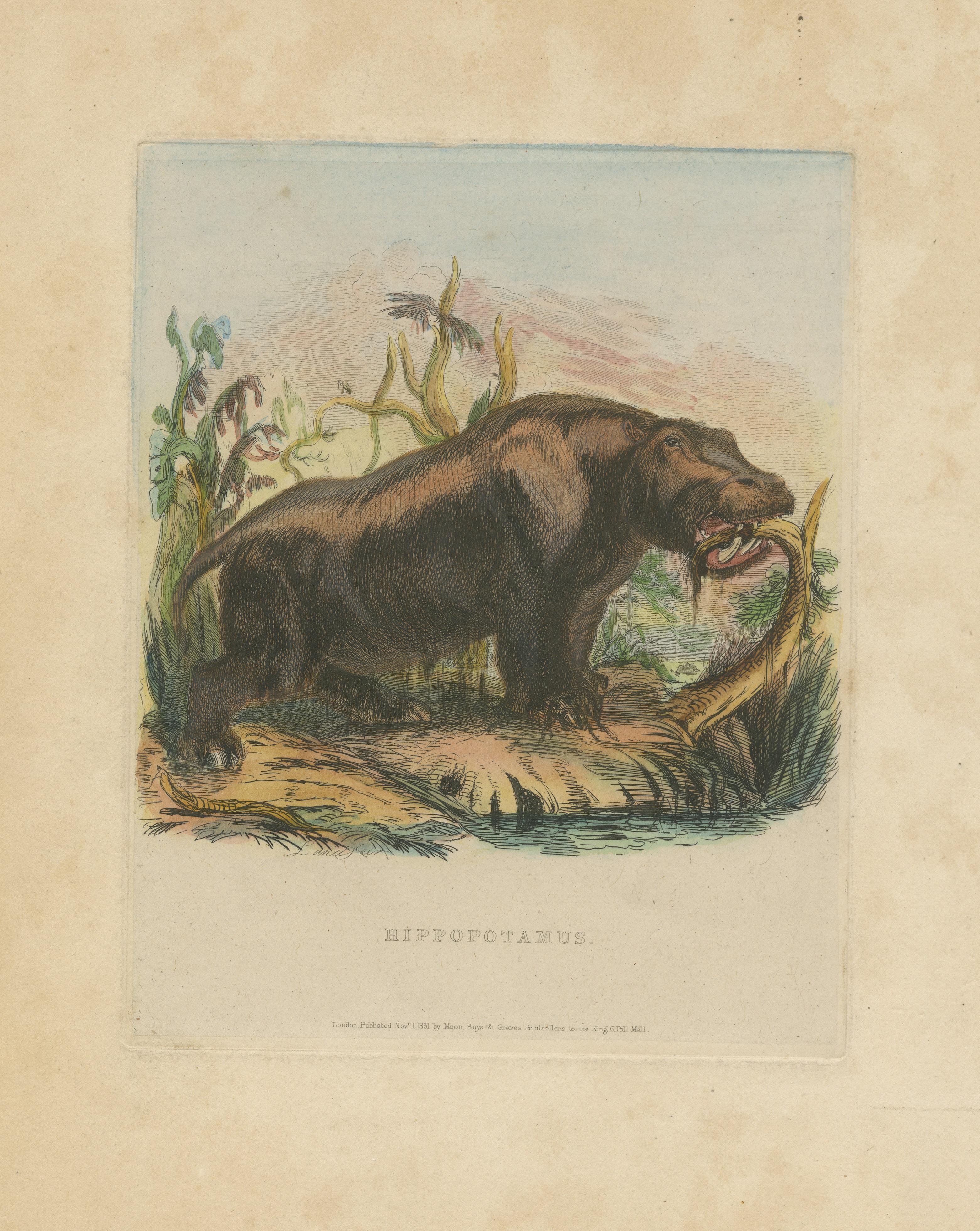 Antique Animal Print of a Hippopotamus or Hippo In Fair Condition For Sale In Langweer, NL