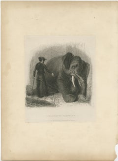 Antique Animal Print of an Asian Elephant