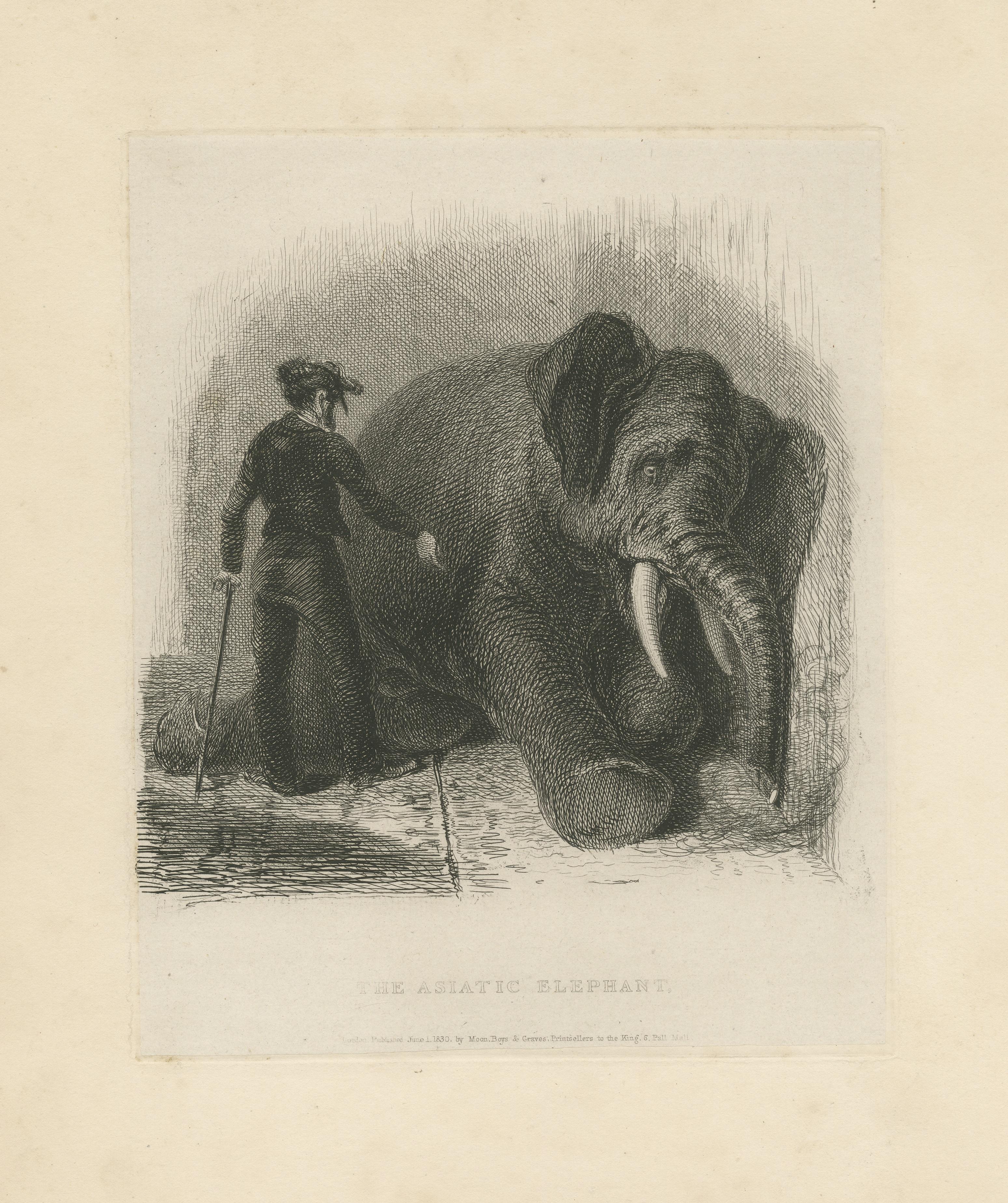 Antique Animal Print of an Asian Elephant In Fair Condition For Sale In Langweer, NL