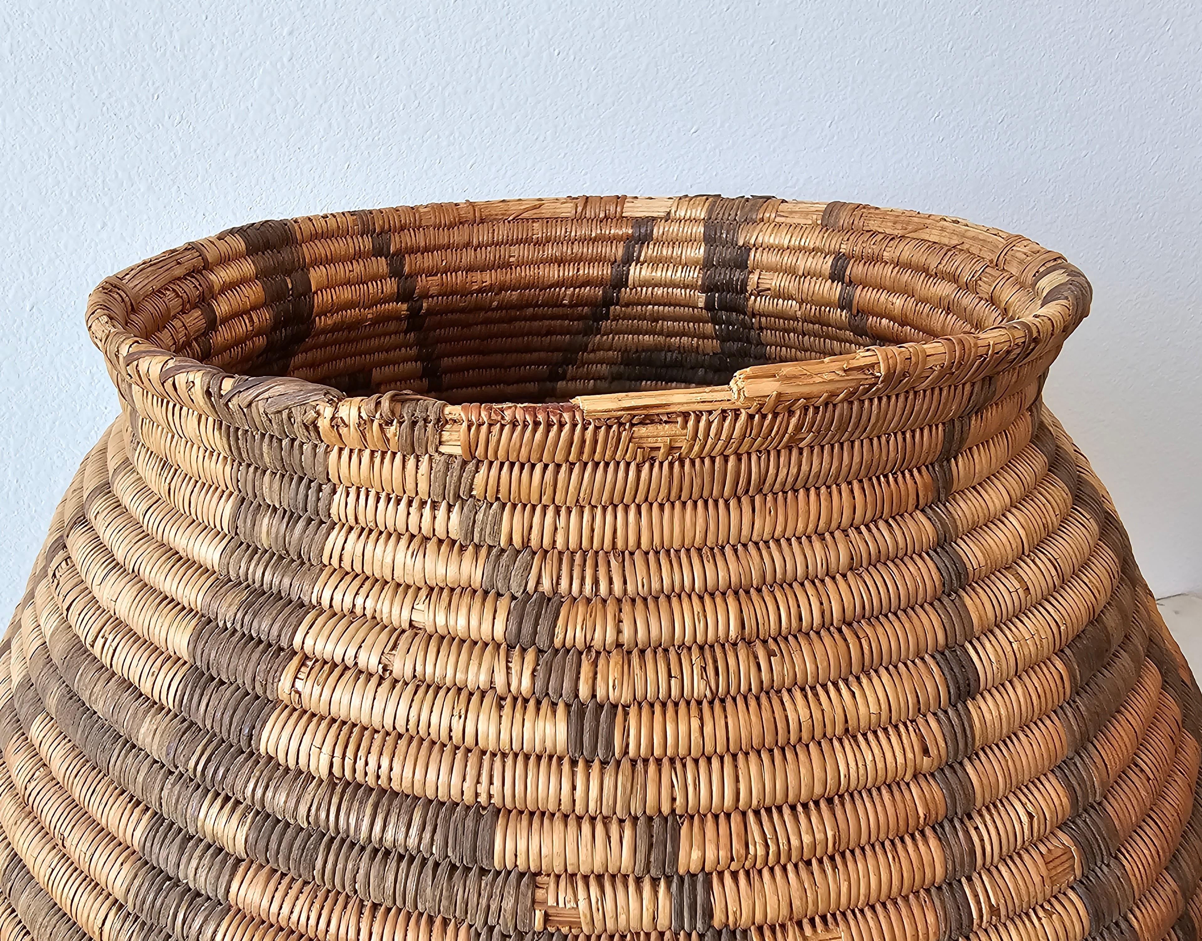 Antique Apache Olla Jar Coiled Willow Wicker Devil's Claw Basket  For Sale 4