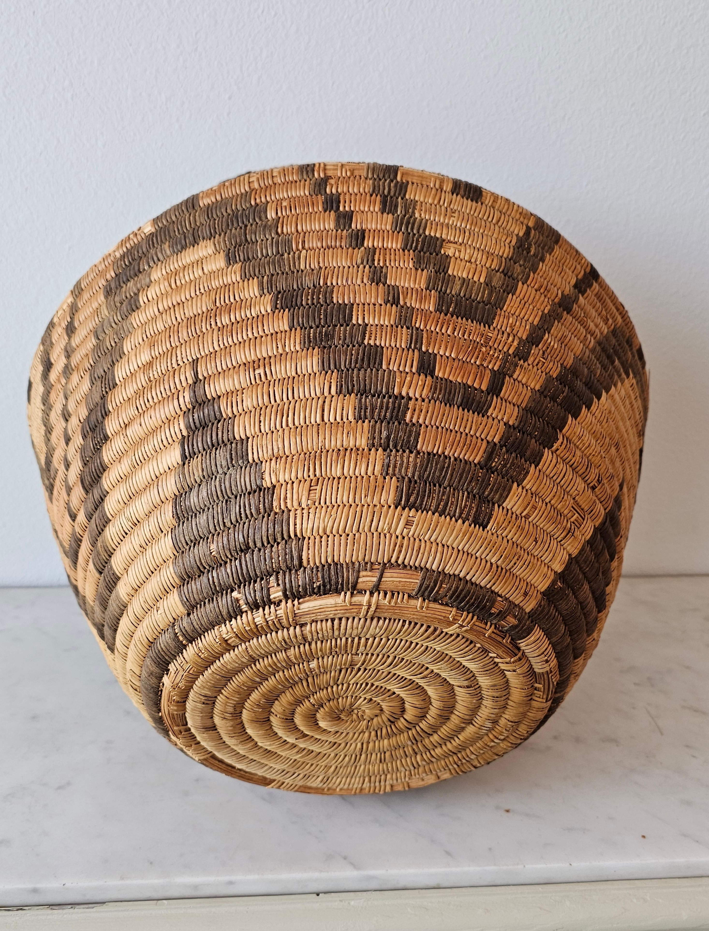 American Antique Apache Olla Jar Coiled Willow Wicker Devil's Claw Basket  For Sale