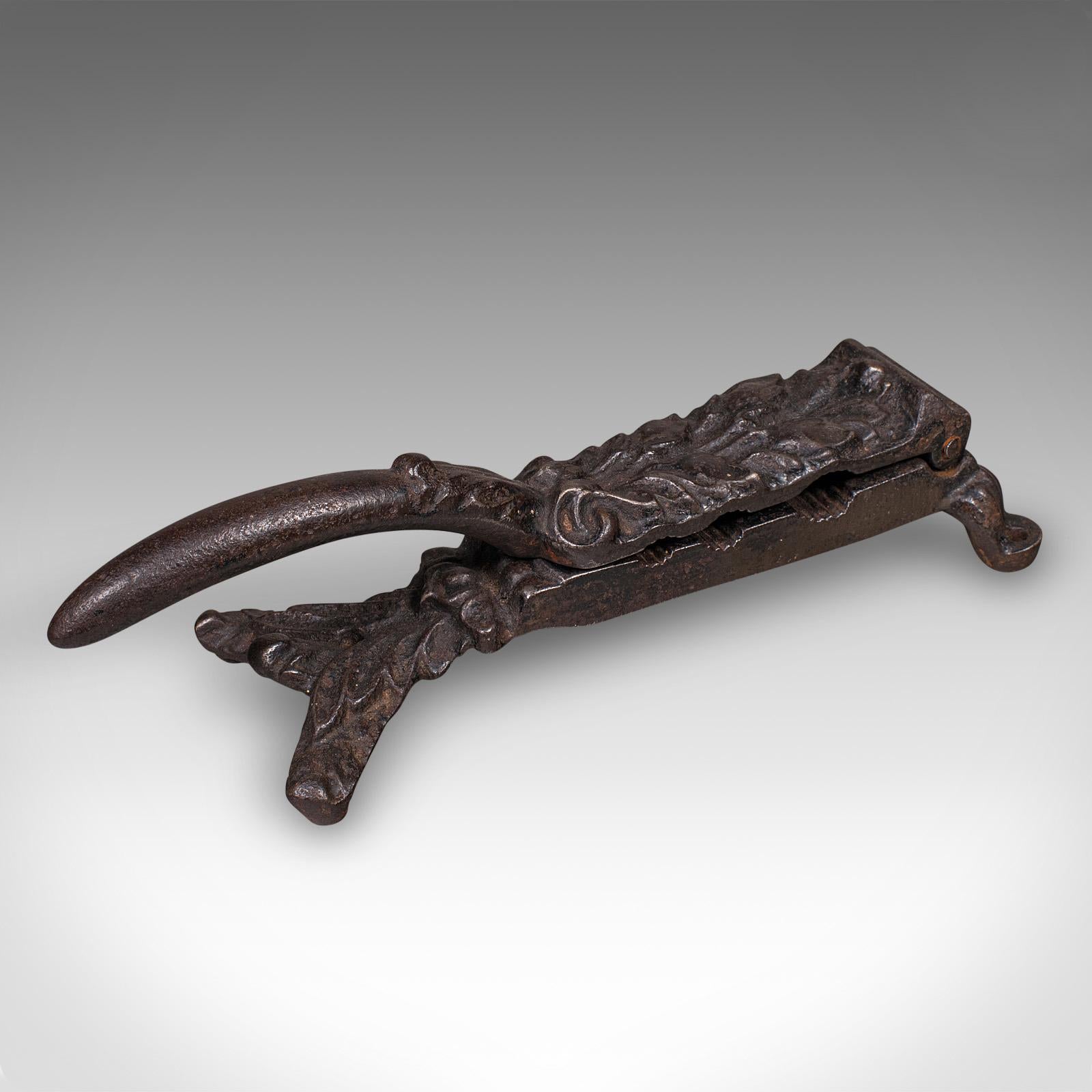 Antike Apotheker Kork Kompressor, Englisch, Türklopfer, Viktorianisch, CIRCA 1850 (Britisch) im Angebot
