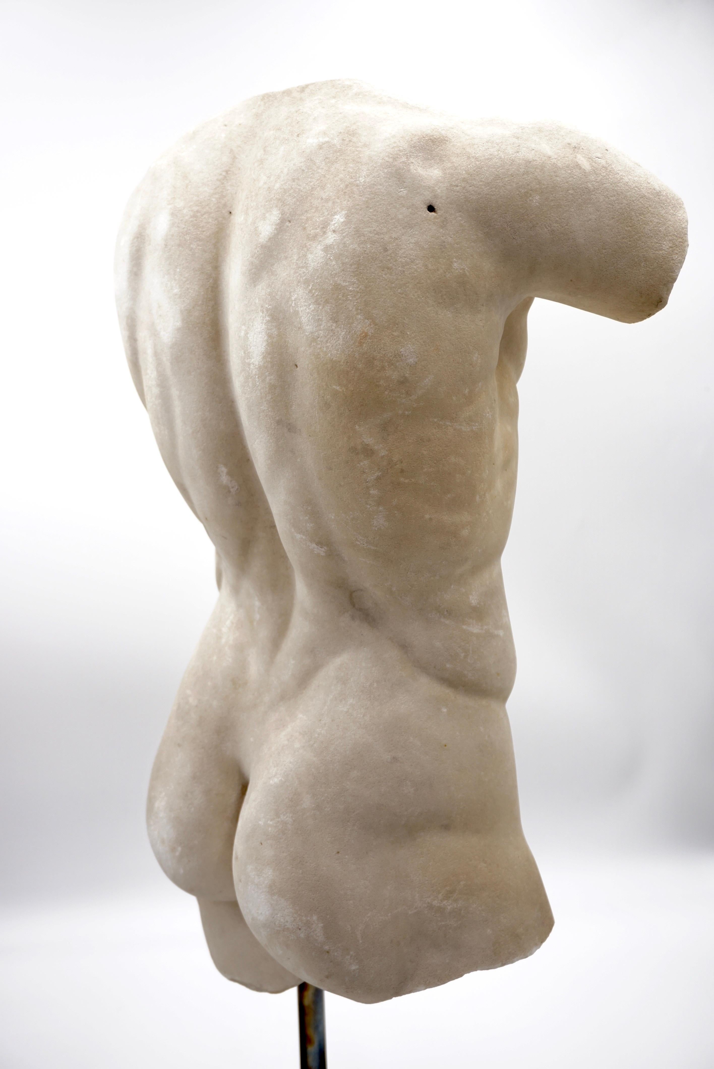 Ancienne sculpture de torse masculin Apoxyomenos en marbre, marbre blanc de Carrare, XIXe siècle en vente 5