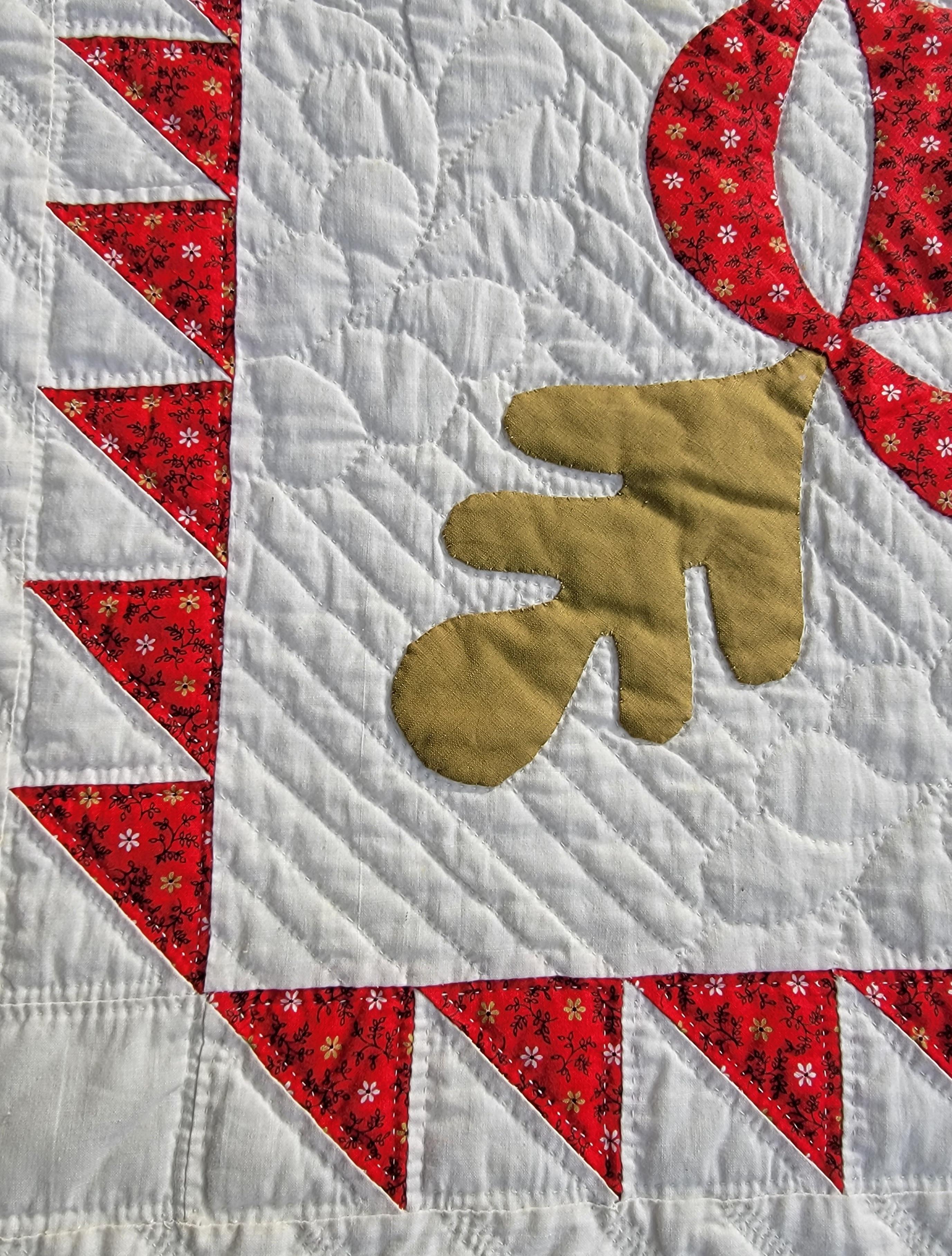 American Antique Applique Quilt with Swag Border For Sale