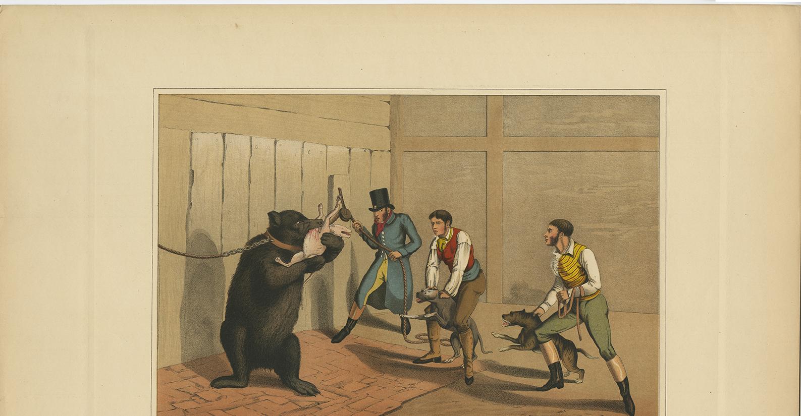 Handcolored aquatint made after Henry Alken by J. Clark. Published by T. McLean, London, 1820.

The antique aquatint titled 'Bear Baiting' by J. Clark portrays a scene related to the cruel and now outlawed practice of bear-baiting, a form of