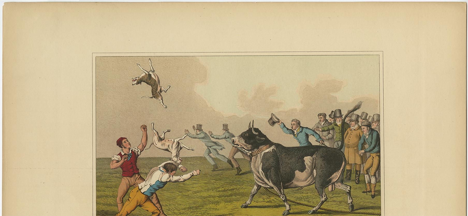 Aquatinte ancienne « Bull Baiting » de J. Clark, 1820 Bon état - En vente à Langweer, NL