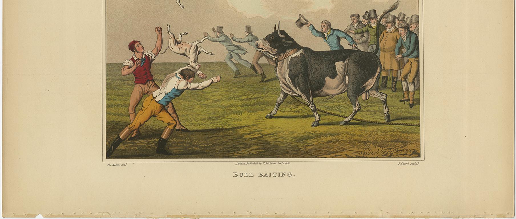 bull-baiting