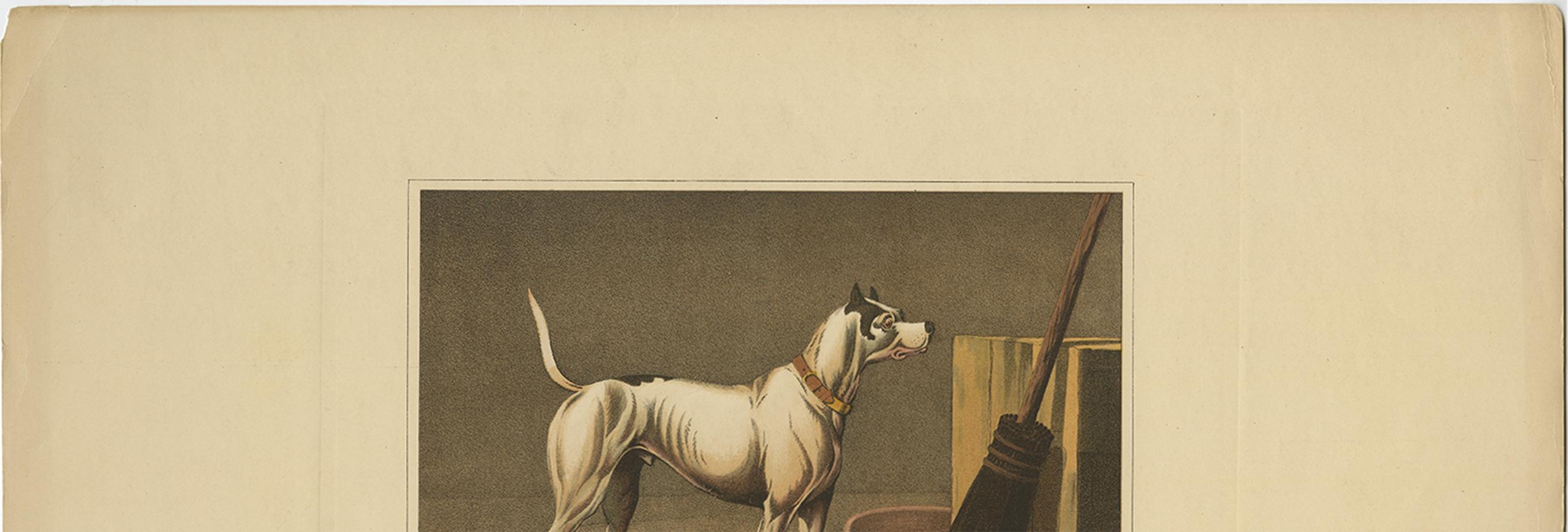 Paper Antique Aquatint of a Dog named 'Crab' by J. Clark, circa 1820 For Sale