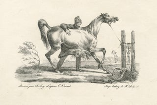 Antique Arabian Horse & Cavalry Lithograph after Carle Vernet, c.1825, view 5