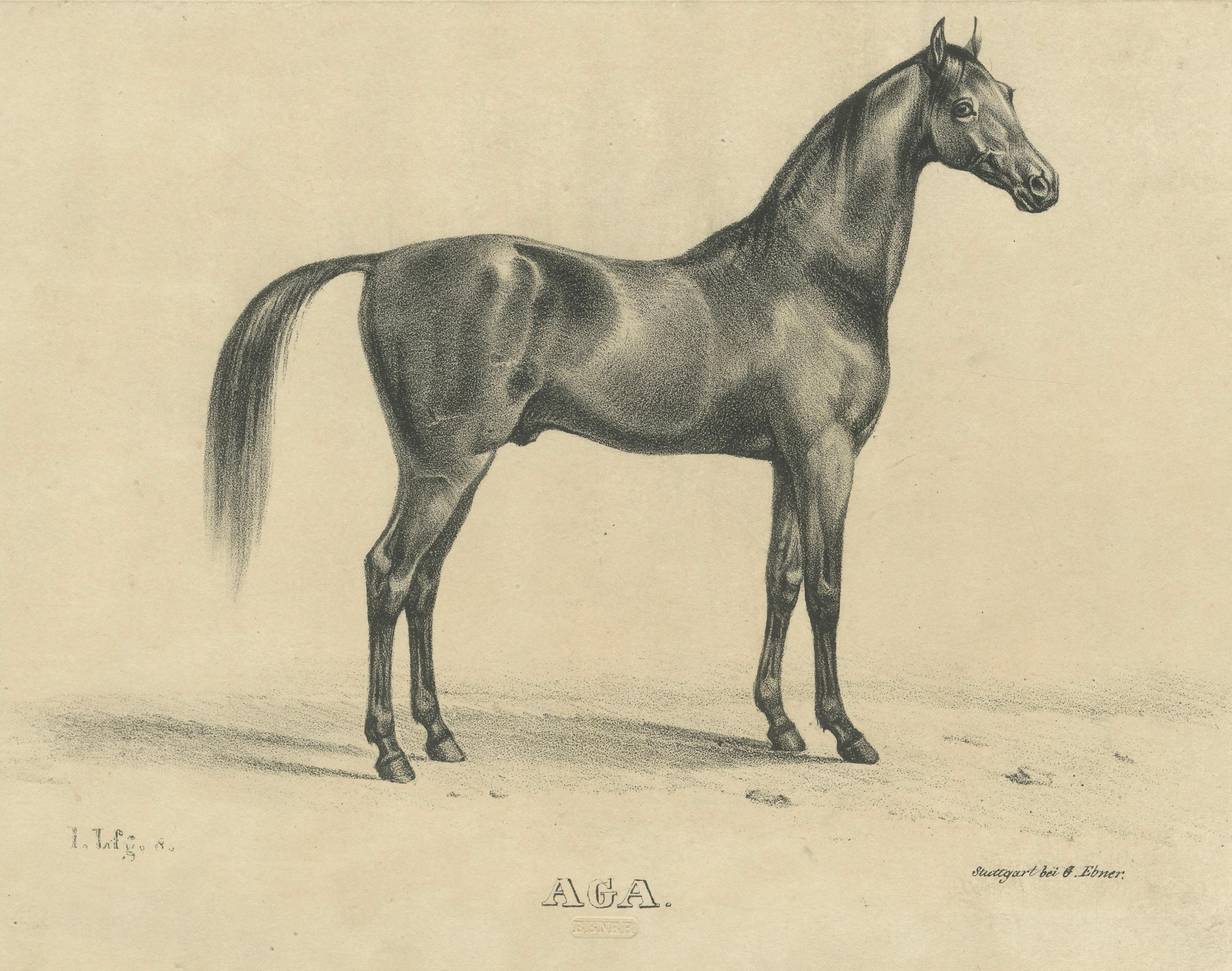 Antique Arabian Horse Lithograph “Aga” by August Jäger, 1846