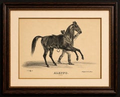 Antique Arabian Horse Lithograph “Aleppo” by August Jäger, 1846