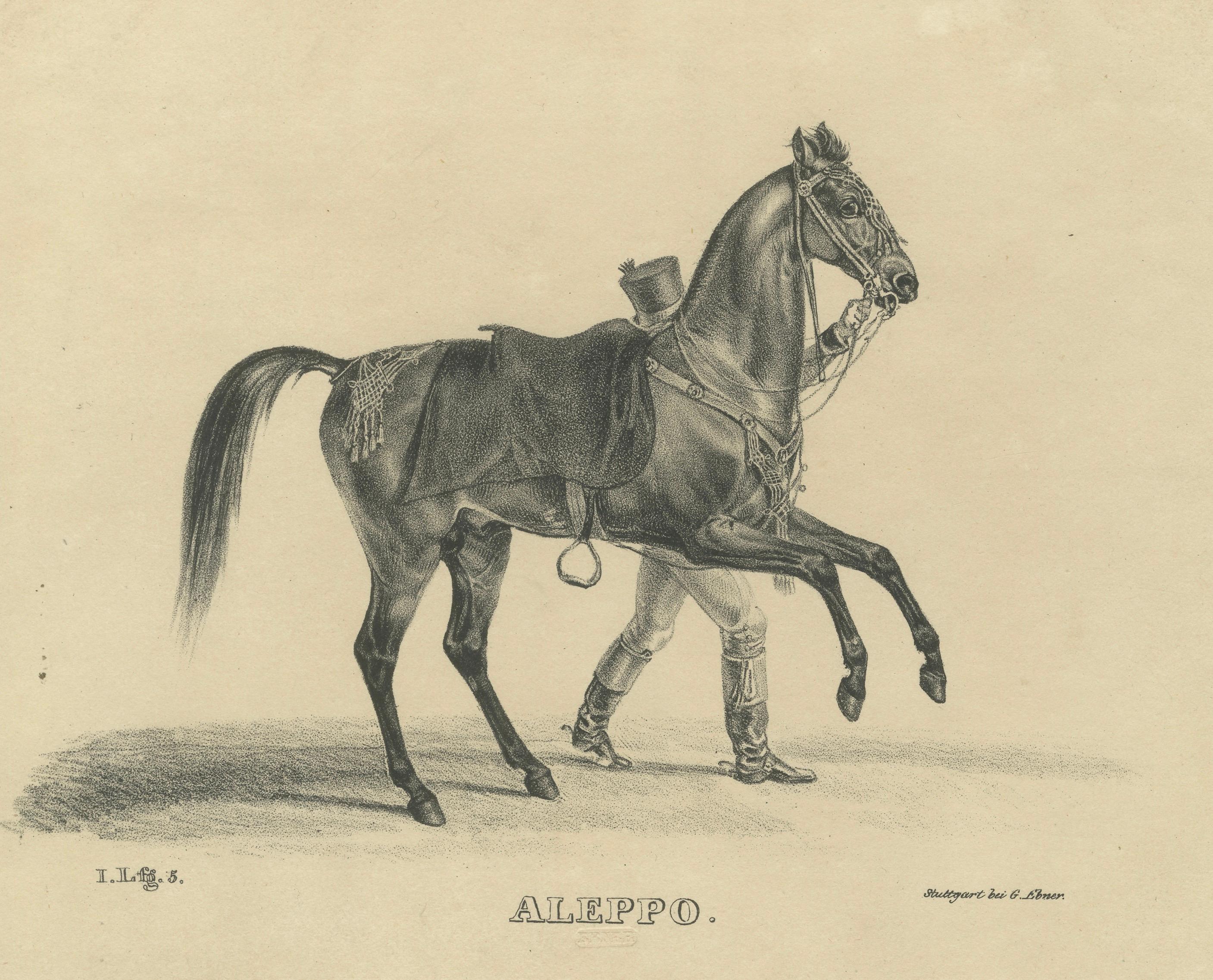 Antique Arabian Horse Lithograph “Aleppo” by August Jäger, 1846